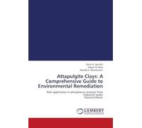 Attapulgite Clays: A Comprehensive Guide to Environmental Remediation: Real application in phosphorus removal from industrial water Second Edition