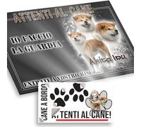Attenti al cane Akita