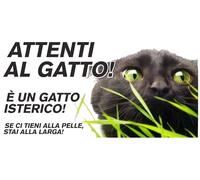ATTENTI AL CANE - ATTENTI AL GATTO, è UN GATTO ISTERICO