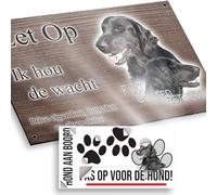 Attenti al cane Flat-Coated Retriever