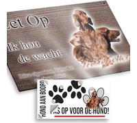 Attenti al cane Setter irlandese