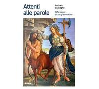 Attenti alle parole. Riflessioni di un grammatico