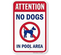 Attenzione - No Dog In Pool Area Cartello Metallo Vintage Metallo 20,3 x 30,5 cm