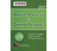 Atti e pareri di diritto penale