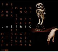 Labtrio The Owls Are Not What They Seem (CD) Album