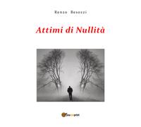 Attimi di nullità di Renzo Besozzi, 2018, Youcanprint