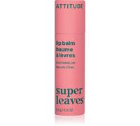 Attitude - Balsamo labbra naturale Leaves Bar al profumo di melone, 8,5 g