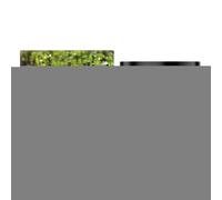 Attivatore del Suolo, Fertilizzante per la Resurrezione delle Piante, Forniture Naturali 100 G Accessori Giardino Per Piante Da Appartamento Crescita Giardinaggio Propagazione