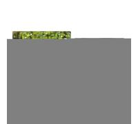 Attivatore Terreno Per Piante - Fertilizzante per la Resurrezione delle Piante | Accessori da Giardino 100G per Crescita di Piante da Interno Frutta e Fiori