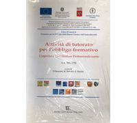 Attività di tutorato per l'obbligo formativo. L'esperienza de Modulo Professiona
