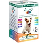 attivo tabs 60 Compresse
