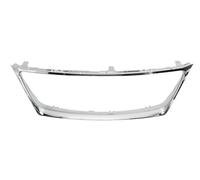Attrappe Cromata BLIC Per LEXUS IS II XE20 10.05-03.09 6502-07-8171991P