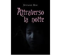 Attraverso la notte di Stefano Bini, 2021, Youcanprint