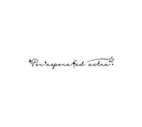 Attraverso le avversità, arrivato alle stelle erba fresca impermeabile duraturo inglese tatuaggio adesivi succo femmina(2pcs)