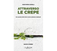 Attraverso le crepe. Sul cammino delle ferite: ricordi, ambizioni