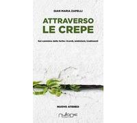 Attraverso le crepe. Sul cammino delle ferite: ricordi, ambizioni, tradimenti