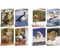 Attrezzatura scolastica marca BLASETTI modello CF10 QUADERNO ANIMALI 100G A4 0A