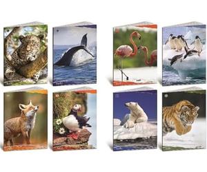 Attrezzatura scolastica marca BLASETTI modello CF10 QUADERNO ANIMALI 100G A4 0A