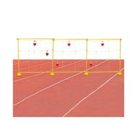 Attrezzature per attività di team building， Giochi di team building for il lavoro, giochi di squadra all'aperto sul prato, kit di giochi for le giornate sportive scolastiche(Style 1,150x150cm)