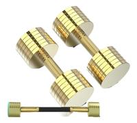 Attrezzature per il fitness Manubri per esercizi, manubri regolabili, set di pesi, palestra a casa, allenamento, allenamento, allenamento muscolare del braccio (20 kg, 30 kg)