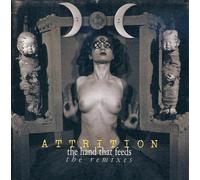 Attrition - Hand That Feeds