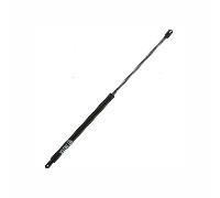 Attuatore a Gas 10 kg L 550 mm - Pistone a Molla con Stelo Cromato per Portelli