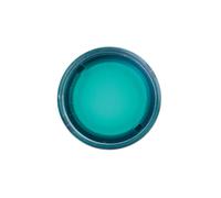 Testa pulsante Telemecanique luminoso Verde BA9S ZB4BW33