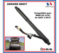 Attuatore Bagagliaio Elettrico Automatico Per BMW X5 E70 07-13 - 51247332696