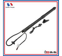 Attuatore Elettrico Posteriore Compatibile Con 6892009012 6892009080 6892009011