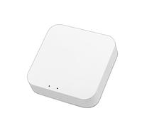 Attuatore lineare Smart Home Tuya Sensore di perdita d'acqua Sensore di perdita wireless Rilevatore di inondazione Acqua Rilevazione Allerta Livello di acqua Allarme Overflow(Gateway)