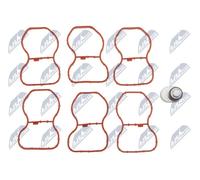 NTY Regolatore, Valvole di torsione(Collett.