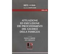 Attuazione ed esecuzione dei provvedimenti del giudice della famiglia