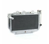 ATV Radiatore di raffreddamento per Yamaha YFZ 450 04-09 12 13 5TG-12461-10-00
