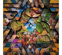 Miguel Atwood-Ferguson Les Jardins Mystiques - Volume 1 (Vinyl LP)