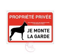AUA SIGNALETIQUE - Panneau Signalisation Propriété Privée Attention Chien : Je Monte la Garde - 300x210 mm, Vinyl Adhésif
