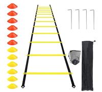 Auckpure Accessori per allenamento da calcio, scala di coordinazione, set da allenamento con 12 cappelli da calcio, 4 pali in ferro fisso, 1 tasca a rete a cono da calcio, 1 borsa da allenamento con