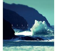 Auction For The Prom - Silence