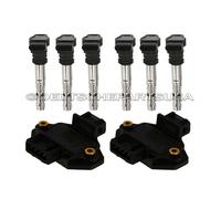 Audi Allroad Quattro Icm Icu Accensione Controllo Modulo + Bobina Tune Up Kit 8