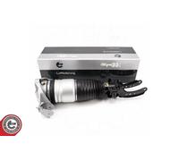 AUDI Q7 PORSCHE Cayenne VW Touareg sospensione pneumatica anteriore sinistra