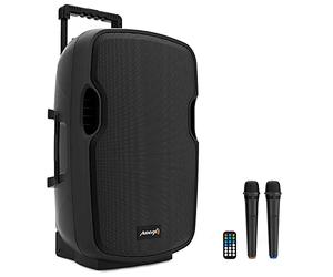 Audibax Denver Altoparlante Combo Port 15 VHF. Cassa Bluetooth - Trolley System, Caricatore per Batteria + Cavo 12 V. 2 Microfoni Wireless, Nero. Misure: 485 x 445 x 740 ml