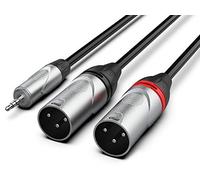 Audibax Pro Cavo 2 XLR Maschio a Minijack - Lunghezza 3 Metri - Connettori OFC ad Alta Trasmissione del Segnale - Rivestito in PVC - Massimo Isolamento - Diametro 6 mm - Colore Nero