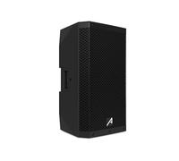 Audibax PRO10P - Altoparlante passivo da 10" - Potenza massima 500W - Dotato di 2 ingressi Speakon - Montaggio a pavimento o a terra - Grande portabilità - Ideale per concerti e spettacoli dal vivo