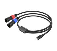 Audio AUX da Tipo C A Doppio XLR Audio da USB C A Doppio 3021
