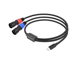 Audio AUX da Tipo C A Doppio XLR Audio da USB C A Doppio 3610