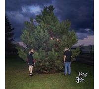 Audio Cd 100 Gecs - 1000 Gecs