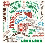 VARIOUS ARTISTS - 2015-2025 LES DISQUES BONGO JOE: 10 YEARS OF SONIC EXPLORATIONS