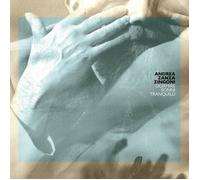 Accesso al fiume Murray n. 4 Mappa grafica altamente dettagliata di Gunbower Isl