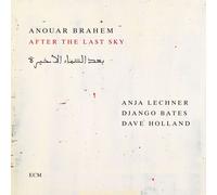 After the Last Sky