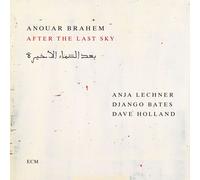After the Last Sky
