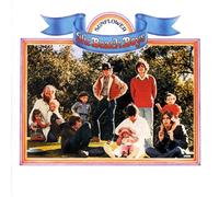 The Beach Boys Sunflower / Surf's Up (CD) Album